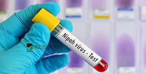 #nipah | നിപ മരണം: പരിസര പ്രദേശങ്ങളിലെ മൃഗങ്ങളുടെ രക്തസാമ്പിളുകൾ ശേഖരിച്ചു