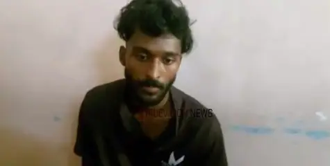 #Arrest | ഇരുപതുകാരിയെ വിവിധ സ്ഥലങ്ങളിലെത്തിച്ച് പീഡിപ്പിച്ച കേസിൽ പ്രതി പിടിയിൽ 