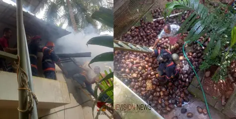  #fire | മംഗലാട് തേങ്ങാക്കൂടക്ക് തീ പിടിച്ചു; രണ്ടായിരത്തോളം തേങ്ങ കത്തി നശിച്ചു 