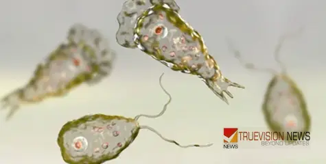 #amoebicencephalitis  | സംസ്ഥാനത്ത് രണ്ട് പേർക്ക് കൂടി അമീബിക് മസ്തിഷ്ക ജ്വരം സ്ഥിരീകരിച്ചു; രോഗം ബാധിച്ചവരുടെ എണ്ണം 14 ആയി 