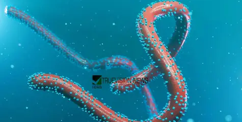 #Marburgvirus | കടുത്ത പനി, ശരീര വേദന, അതീവ മാരകം; മാര്‍ബര്‍ഗ് വൈറസ് ബാധിച്ച് റുവാണ്ടയിൽ ആറ് ആരോഗ്യ പ്രവർത്തകർ മരിച്ചു