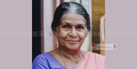 പുളിവയലിലെ പരേതനായ തൂങ്കുഴി സ്കറിയയുടെ ഭാര്യ സെലിൻ അന്തരിച്ചു