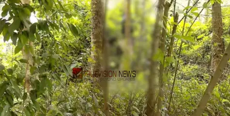 കണ്ണൂരിലെ പോക്സോ കേസിൽ പ്രതിയായ മുന്‍ സിപിഎം ബ്രാഞ്ച് സെക്രട്ടറി മരിച്ച നിലയിൽ