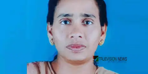 #accident |  റോഡ് മുറിച്ചു കടക്കുമ്പോൾ  മിനിലോറിയിടിച്ചു, കാൽനടയാത്രിയ്ക്ക് ദാരുണാന്ത്യം