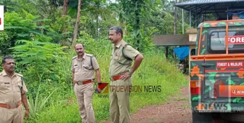 തളിപ്പറമ്പിൽ  പുലിയെ കണ്ടതായി അഭ്യൂഹം, ഫോറസ്റ്റ് അധികൃതർ സ്ഥലം സന്ദർശിച്ചു