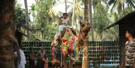 #agripark | മിതമായ നിരക്ക്: മികച്ച ഫാമിലി പാക്കേജുകൾ, വിനോദത്തിന്  ഇനി ചെലവേറില്ല