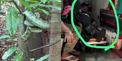 #snakebite |  കണ്ണൂരിൽ മാവോയിസ്റ്റുകള്‍ക്കായി തെരച്ചിൽ നടത്തുന്നതിനിടെ തണ്ടര്‍ബോള്‍ട്ട് സംഘാംഗത്തിന് പാമ്പു കടിയേറ്റു