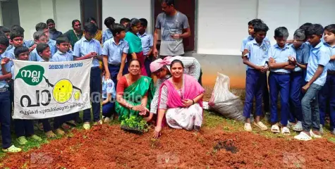 അമ്പായത്തോട് യു. പി. സ്കൂളിൽ ജൈവ പച്ചക്കറി കൃഷിക്ക് തുടക്കം കുറിച്ചു