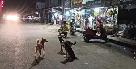 തെരുവ് നായ ശല്യം; പഞ്ചായത്ത് പ്രസിഡണ്ടിന് നിവേദനം നല്‍കി എസ്ഡിപിഐ 