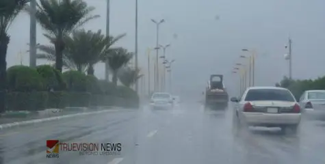 #heavyrain | കനത്ത മഴയ്ക്ക് സാധ്യത; സൗദിയിൽ വിവിധ പ്രദേശങ്ങളിലെ വിദ്യാഭ്യാസ സ്ഥാപനങ്ങൾക്ക് ഇന്ന് അവധി