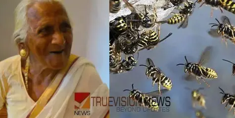 #waspattack |  കടന്നൽ ആക്രമണത്തിൽ വയോധികരായ അമ്മയും മകളും മരിച്ചു