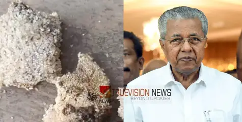 #PinarayiVijayan | മേപ്പാടിയിലെ ഭക്ഷ്യകിറ്റിൽ പുഴുവരിച്ച സംഭവം; വിജിലൻസ് അന്വേഷണത്തിന് മുഖ്യമന്ത്രി ഉത്തരവിട്ടു