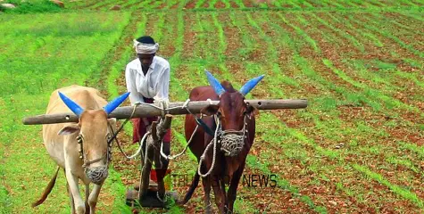 #FarmDevelopmentApplication | വില്യാപ്പള്ളി പഞ്ചായത്തിൽ കൃഷിയിടാധിഷ്‌ഠിത വികസന പദ്ധതി; കർഷകരിൽ നിന്നും അപേക്ഷ ക്ഷണിച്ചു