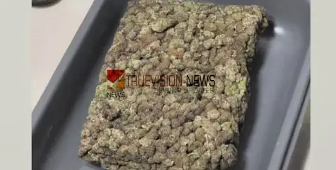 #cannabis |  ഹൈബ്രിഡ് കഞ്ചാവുമായി കോഴിക്കോട് സ്വദേശി ഉൾപ്പെടെ മൂന്ന് പേർ പിടിയിൽ 