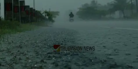 #rain | കേരളത്തിൽ ഇന്നും മഴ ശക്തമായി തുടരും, കോഴിക്കോട് ഉൾപ്പെടെ മൂന്ന് ജില്ലകളിൽ  യെല്ലോ