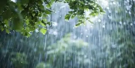 കേരളത്തിൽ ഇന്നും ശക്തമായ മഴയ്ക്ക് സാധ്യത 