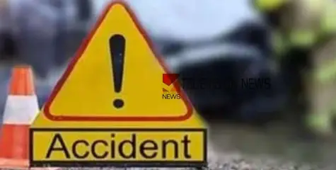 #accident | ശബരിമല തീർത്ഥാടകരുടെ ബസ് തമിഴ്‌നാട് ട്രാൻസ്പോർട് ബസുമായി കൂട്ടിയിടിച്ചു; നിരവധി പേർക്ക് പരുക്ക് 