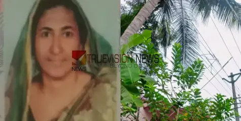 #shock | ഇരുമ്പ് തോട്ടി ഉപയോഗിച്ച് തേങ്ങയിടാൻ ‌ശ്രമിക്കുന്നതിനിടെ വൈദ്യുതി ലൈനിൽ തട്ടി, വീട്ടമ്മയ്ക്ക് ദാരുണാന്ത്യം