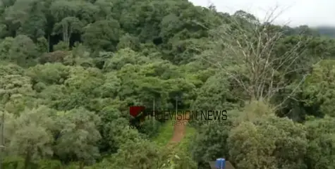 #Sabarimala  | 20 ശബരിമല തീർത്ഥാടകർ വനത്തിൽ കുടുങ്ങി, രണ്ട് പേർക്ക് ശാരീരിക അസ്വസ്ഥത