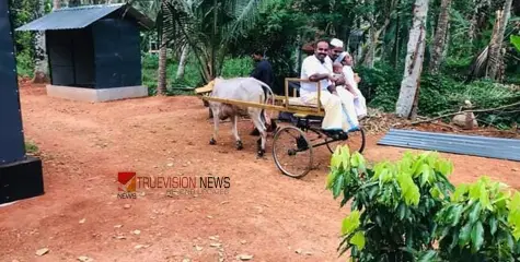 #agripark | മിതമായ നിരക്ക്; മികച്ച ഫാമിലി പാക്കേജുകൾ, വിനോദത്തിന്  ഇനി ചെലവേറില്ല