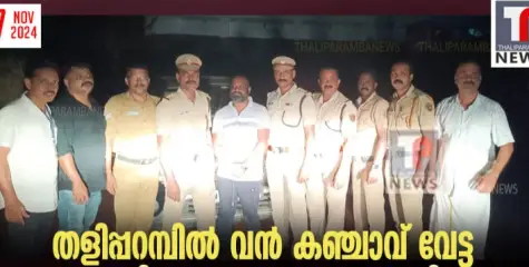 തളിപ്പറമ്പിൽ വൻ കഞ്ചാവ് വേട്ട; 25 കിലോഗ്രാം കഞ്ചാവുമായി യുവാവ് പിടിയിൽ 