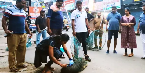 തെരുവുനായ്ക്കൾക് പേ വിഷ പ്രതിരോധ വാക്സിൻ നല്‌കി