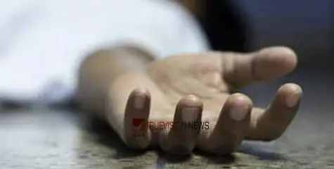 #death | സാമ്പിൾ ശേഖരിക്കുന്നതിനിടെ കുഴി ഇടിഞ്ഞുതാഴ്ന്നു; ഐ.ഐ.ടി.ഗവേഷക വിദ്യാർഥിനിക്ക് ദാരുണാന്ത്യം