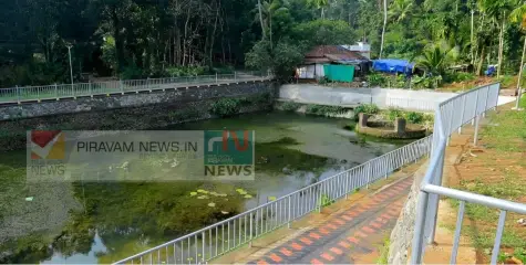 ഇടപ്പള്ളിച്ചിറകുളം നവീകരണ പ്രവർത്തനങ്ങൾ അവസാന ഘട്ടത്തിൽ. 55 ലക്ഷം രൂപയുടെ പദ്ധതിയുമായി പിറവം നഗരസഭ