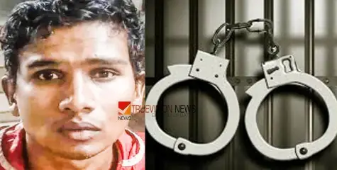 #arrest |  വ​യോ​ധി​ക​യു​ടെ മാ​ല പൊ​ട്ടി​ച്ച് ക​ട​ന്നു​ക​ള​യാ​ൻ ശ്ര​മം,  യു​വാ​വ് അ​റ​സ്റ്റി​ൽ