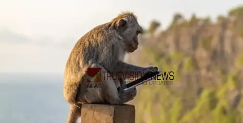 #monkey  |  മലപ്പുറത്ത് യുവാവിന്റെ  മൊബൈൽ അടിച്ചുമാറ്റി കുരങ്ങൻ, റിംഗ് ചെയ്തപ്പോൾ കോൾ അറ്റൻ‍ഡ് ചെയ്ത് ചെവിയിൽ വെച്ചു