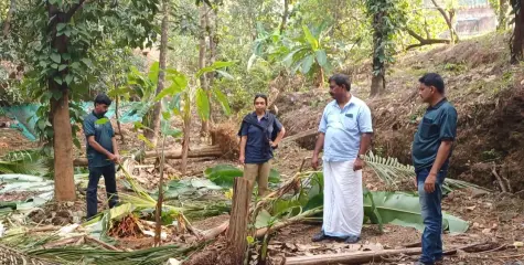 കച്ചേരിക്കടവ് മുടിക്കയത്ത് ജനവാസ മേഖലയിൽ കാട്ടാന വീണ്ടും കൃഷി നശിപ്പിച്ചു