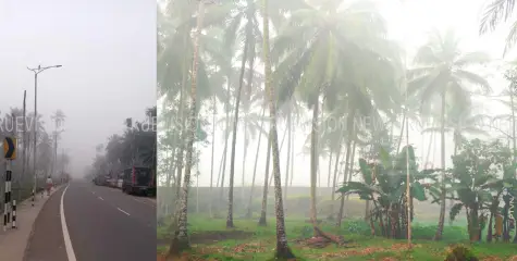  കോടമഞ്ഞ്; പ്രതീക്ഷയുടെ കാഴ്ചകള്‍ 