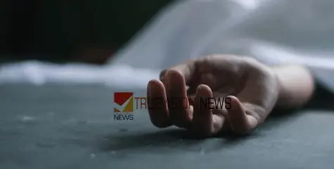 #accident |  ഇരുചക്രവാഹനം കുളത്തിലേക്ക് മറിഞ്ഞു, പ്ലസ്‌വൺ വിദ്യാർഥിനിയും 2 യുവാക്കളും മരിച്ചു