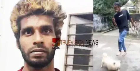 #attack | നാട്ടുകാരെ നായയെക്കൊണ്ട് കടിപ്പിച്ച കേസിൽ അറസ്റ്റിലായിരുന്ന ഗുണ്ട ജാമ്യത്തിലിറങ്ങി ശാസ്ത്രജ്ഞനെയും ഭാര്യയെയും ആക്രമിച്ചു