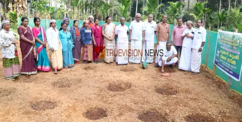 വിത്തിടൽ പ്രവർത്തി; പെഞ്ചാത്തോളി തഴ വയലിൽ പച്ചക്കറിക്കൃഷി തുടങ്ങാനൊരുങ്ങി കാർഷിക കർമ്മ സേന