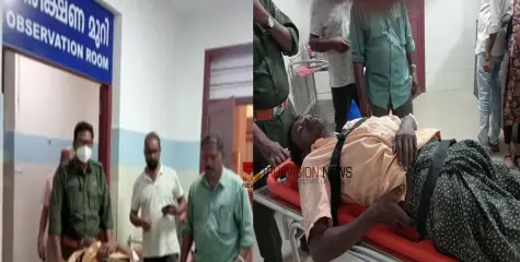 വയനാട്ടിൽ വീണ്ടും കാട്ടാന ആക്രമണം; വനത്തിനുള്ളിൽ വിറക് ശേഖരിക്കാനായെത്തിയ യുവാവിന് പരിക്ക്