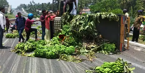 ബൈപ്പാസ് റോഡിൽ ലോറി നിയന്ത്രണം വിട്ട് മറിഞ്ഞ് അപകടം, റോഡ് നിറയെ വാഴക്കുല തെറിച്ചുവീണു
