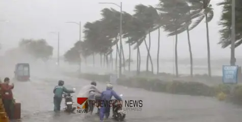 ശക്തമായ മഴയിലും കാറ്റിലും മരം വീണ്‌ ഓട്ടോഡ്രൈവർക്ക് ദാരുണാന്ത്യം