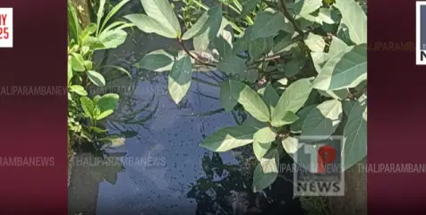 മലിനജലം പൊതു ഓടയിലേക്ക് ഒഴുക്കിവിട്ട സ്ഥാപനങ്ങൾക്ക് 20000 രൂപ പിഴ ചുമത്തി