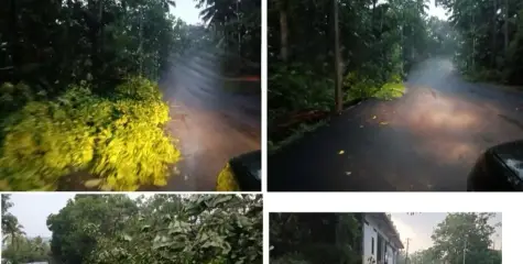 കരിക്കോട്ടക്കരി പ്രദേശത്ത് കാറ്റും മഴയും വ്യാപക നാശനഷ്ടം 