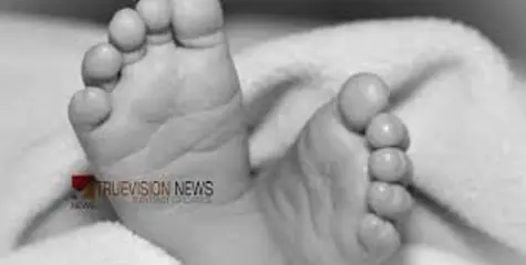  ഡിവൈഎസ്പിയുടെ ഔദ്യോഗിക വാഹനം ഇടിച്ച് കാൽനട യാത്രക്കാരൻ മരിച്ചു