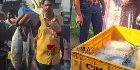 ഒന്നിവിടെ ശ്രദ്ധിച്ചാൽ നല്ലത് ....,മീൻ വാങ്ങുന്നവ‍ർ സൂക്ഷിക്കുക; 385 കിലോ പഴകിയ മത്സ്യം പിടികൂടി