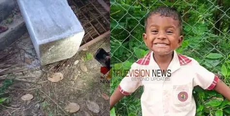 ഗേറ്റും മതിലും തകർന്ന് വീണ് അപകടം; അഞ്ച് വയസുകാരന് ദാരുണാന്ത്യം