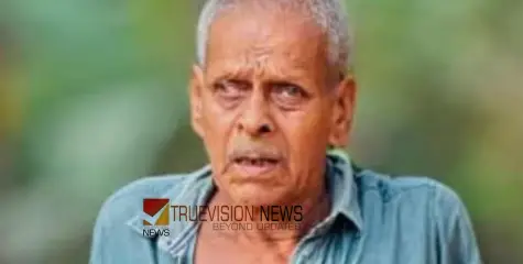 റെയിൽവേ ട്രാക്കിന് സമീപം പുല്ലരിയുന്നതിനിടെ ട്രെയിൻ തട്ടി; വയോധികന് ദാരുണാന്ത്യം 