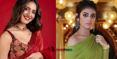 ഇങ്ങനൊരു പ്രശ്‌നം അവരോട് പറഞ്ഞിരുന്നില്ല, മുഖമടിച്ച് വീണു; ഷൂട്ടിങ്ങിനിടയിലെ അപകടത്തെപ്പറ്റി പ്രിയ വാര്യര്‍