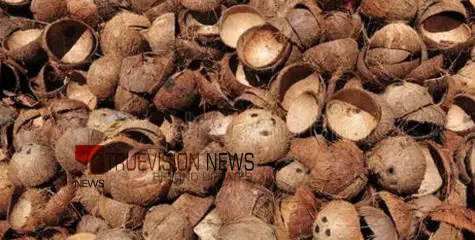 അയ്യോ ചിരട്ട വെറുതെ കളയല്ലേ....; ഒ​രു കി​ലോ ചി​ര​ട്ട​യു​ടെ വി​ല കേ​ട്ടാ​ൽ ഞെ​ട്ടും