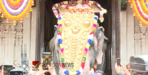  തൃശൂർ പൂരത്തിന് വിളംബരമായി; തെക്കേഗോപുര വാതിൽ തുറന്നു, തിടമ്പേറ്റി എറണാകുളം ശിവകുമാർ
