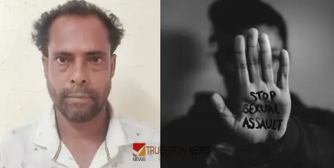17-കാരിയെ വീട്ടിൽ കയറി പീഡിപ്പിച്ചു: പോക്‌സോ കേസിൽ 45-കാരന് ഒമ്പത് വർഷം കഠിന തടവ്
