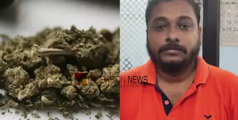 പിടികൂടിയേ അടങ്ങൂ ..... കണ്ണൂർ പയ്യന്നൂരിൽ കഞ്ചാവുമായി സിനിമ പ്രവര്‍ത്തകൻ പിടിയിൽ 