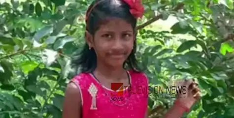 പേവിഷബാധയേറ്റ് ഏഴ് വയസ്സുകാരി മരിച്ച സംഭവം; അന്വേഷണത്തിന് ഉത്തരവിട്ട് മനുഷ്യാവകാശ കമ്മീഷൻ